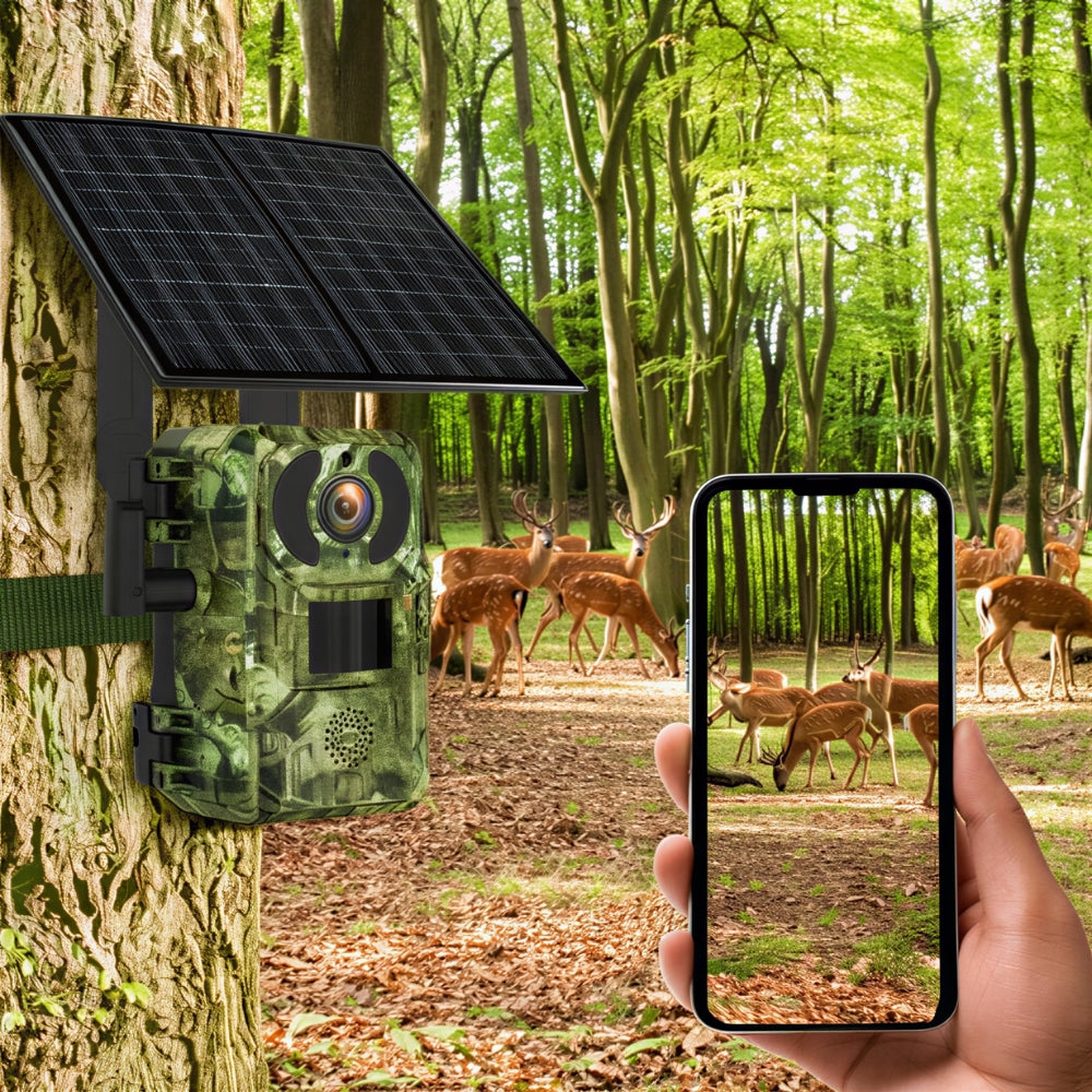 Solar-powered 4G trail camera
